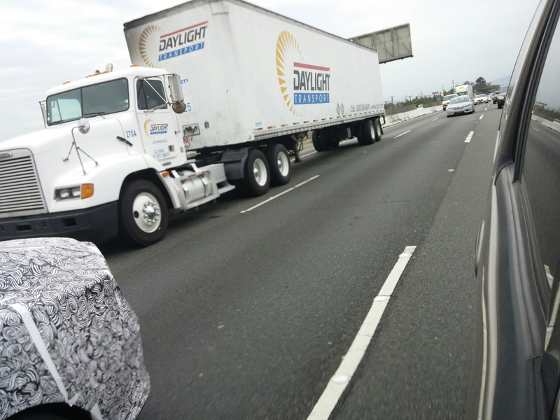 Illustration for article titled Zebra Spotted on the Road In SoCal!